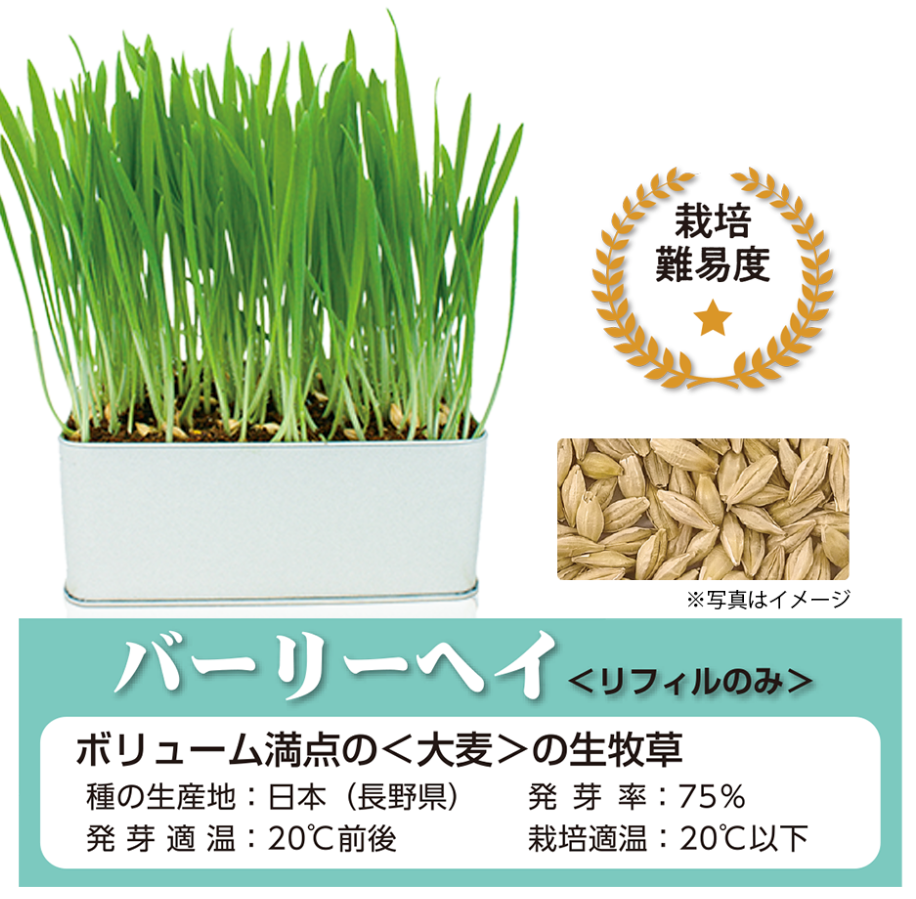 セレクションファーム 牧草栽培セット バーリーヘイ(リフィルのみ)